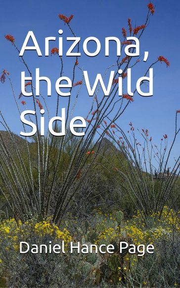 Arizona, the Wild Side - DANIEL HANCE PAGE