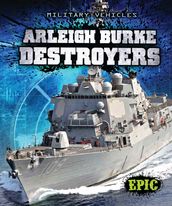 Arleigh Burke Destroyers