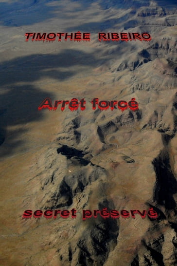 Arrêt forcé, secret préservé - timothée ribeiro