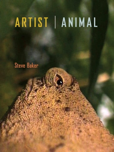 Artist Animal - Steve Baker