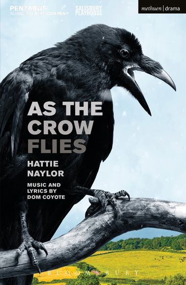 As the Crow Flies - Ms Hattie Naylor