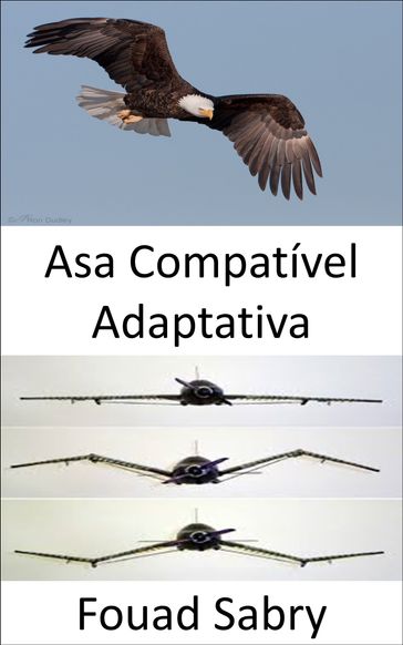 Asa Compatível Adaptativa - Fouad Sabry