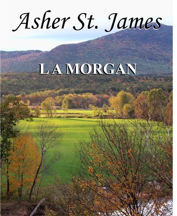 Asher St. James - L A Morgan