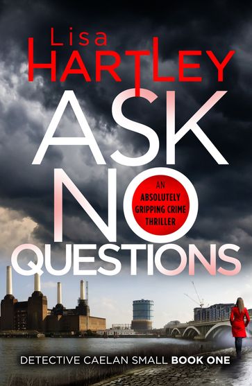 Ask No Questions - LISA HARTLEY