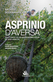 Asprinio D Aversa. Racconto di un matrimonio Felix di 3000 anni fa