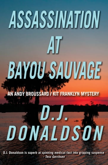 Assassination at Bayou Sauvage - Don J. Donaldson