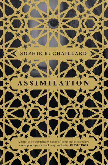 Assimilation - Sophie Buchaillard