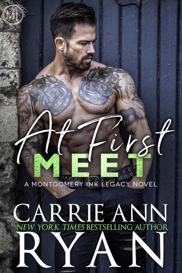 At First Meet - Carrie Ann Ryan