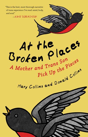 At the Broken Places - Donald Collins - Mary Collins