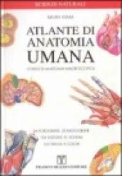 Atlante di anatomia umana. Corsi di anatomia macroscopica