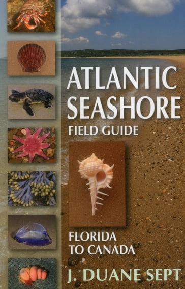 Atlantic Seashore Field Guide - J. Duane Sept