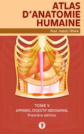 Atlas d anatomie de l abdomen