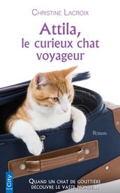 Attila, le curieux chat voyageur