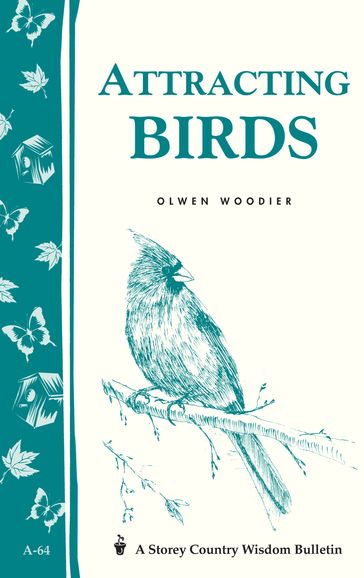 Attracting Birds - Olwen Woodier