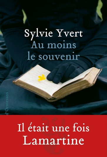Au moins le souvenir - Sylvie Yvert