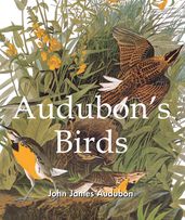 Audubon