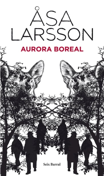 Aurora boreal - Åsa Larsson