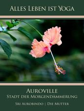 Auroville Stadt der Morgendämmerung