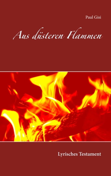 Aus düsteren Flammen - Paul Gisi