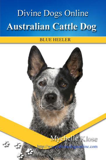 Australian Cattle Dog - Mychelle Klose