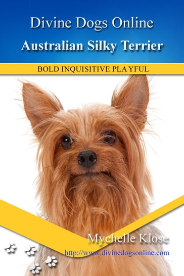 Australian Silky Terrier - Mychelle Klose
