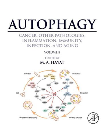 Autophagy: Cancer, Other Pathologies, Inflammation, Immunity, Infection, and Aging - M. A. Hayat