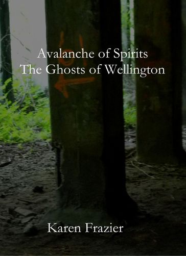 Avalanche of Spirits: The Ghosts of Wellington - Karen Frazier