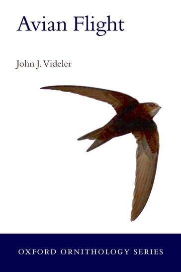 Avian Flight - John J. Videler