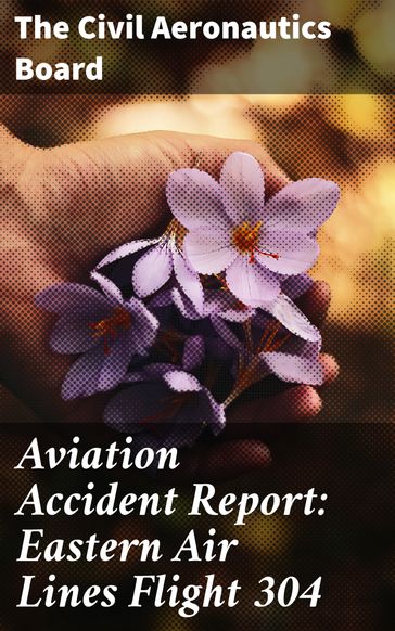 Aviation Accident Report: Eastern Air Lines Flight 304 - The Civil Aeronautics Board