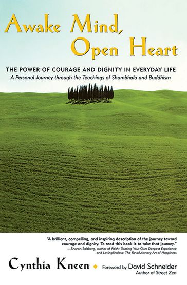 Awake Mind, Open Heart - Cynthia Kneen