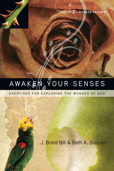 Awaken Your Senses - J. Brent Bill - Beth A. Booram