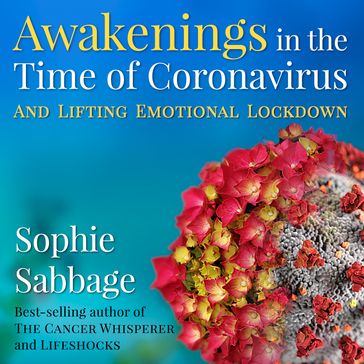 Awakenings in the Time of Coronavirus - Sophie Sabbage