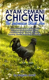 Ayam Cemani Chicken - The Indonesian Black Hen. A complete owner s guide to this rare pure black chicken breed. Covering History, Buying, Housing, Feeding, Health, Breeding & Showing.