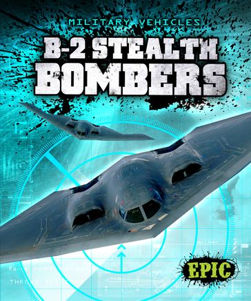 B-2 Stealth Bombers - Denny Von Finn