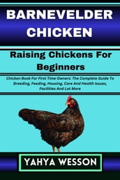 BARNEVELDER CHICKEN Raising Chickens For Beginners