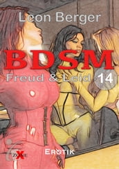 BDSM 14