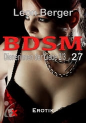 BDSM 27