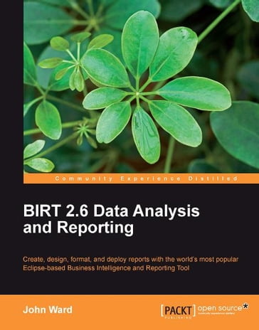 BIRT 2.6 Data Analysis and Reporting - John Ward