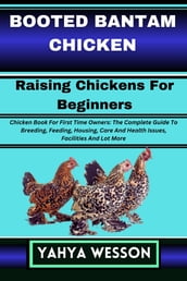 BOOTED BANTAM CHICKEN Raising Chickens For Beginners