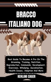 BRACCO ITALIANO DOG