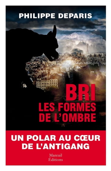 BRI les formes de l'ombre - Philippe Deparis