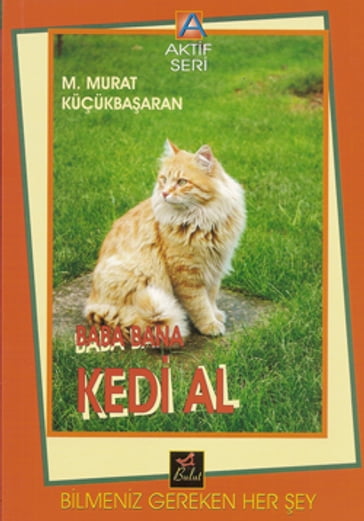 Baba Bana Kedi Al - M. Murat Kuçukbaaran