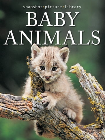 Baby Animals - Snapshot Picture Library