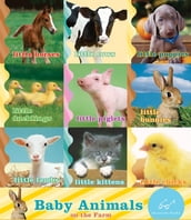 Baby Animals on the Farm (set)