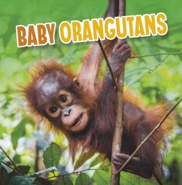 Baby Orangutans - Martha E. H. Rustad