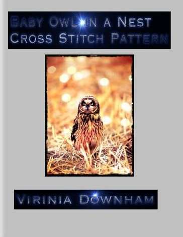 Baby Owl in a Nest Cross Stitch Pattern - Virinia Downham