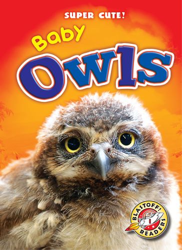 Baby Owls - Christina Leaf