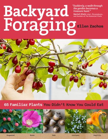 Backyard Foraging - Ellen Zachos