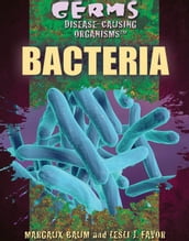 Bacteria