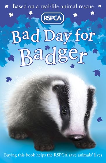 Bad Day for Badger - Sarah Hawkins